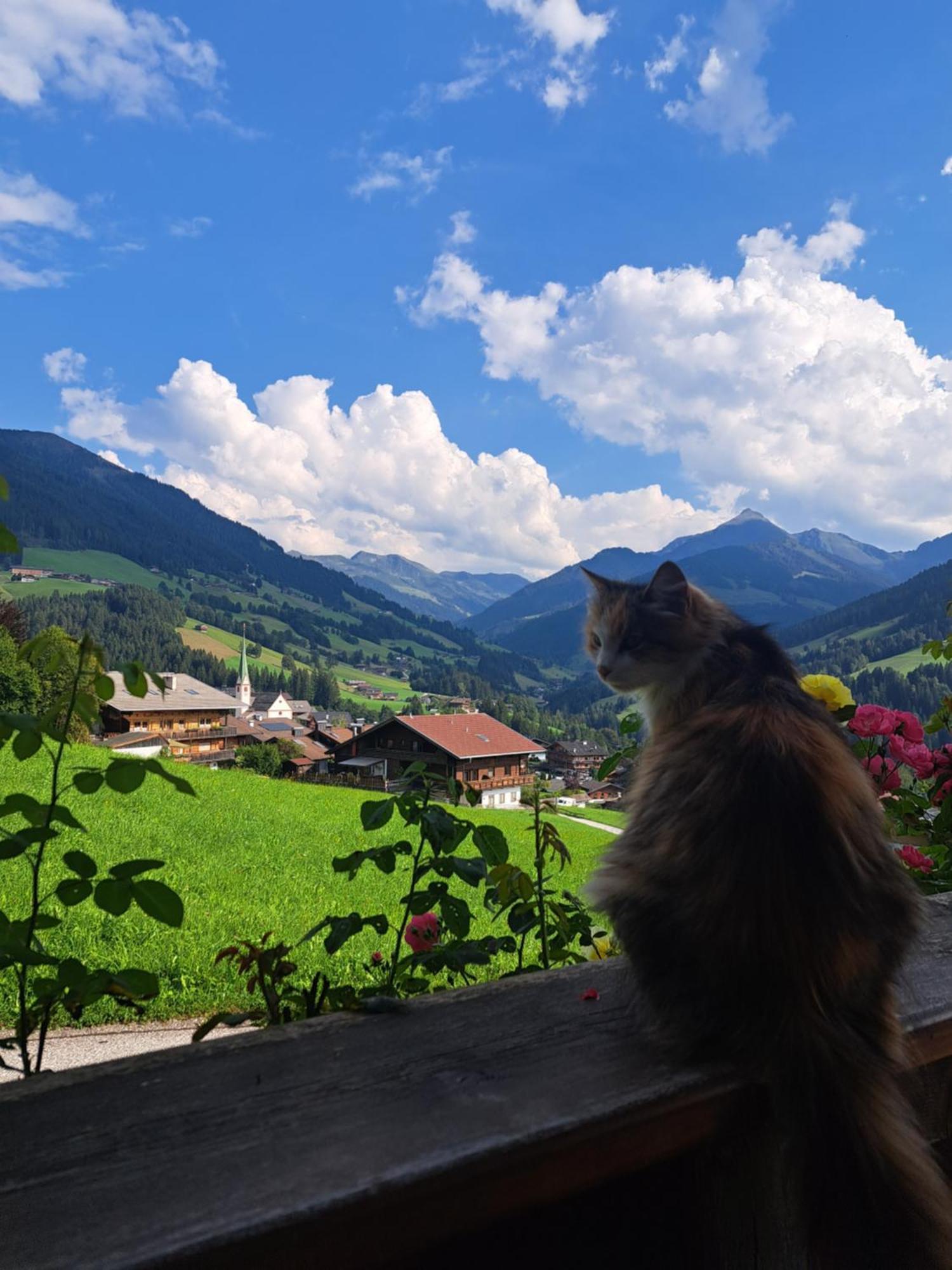 Apartmán Heachhof Alpbach Exteriér fotografie