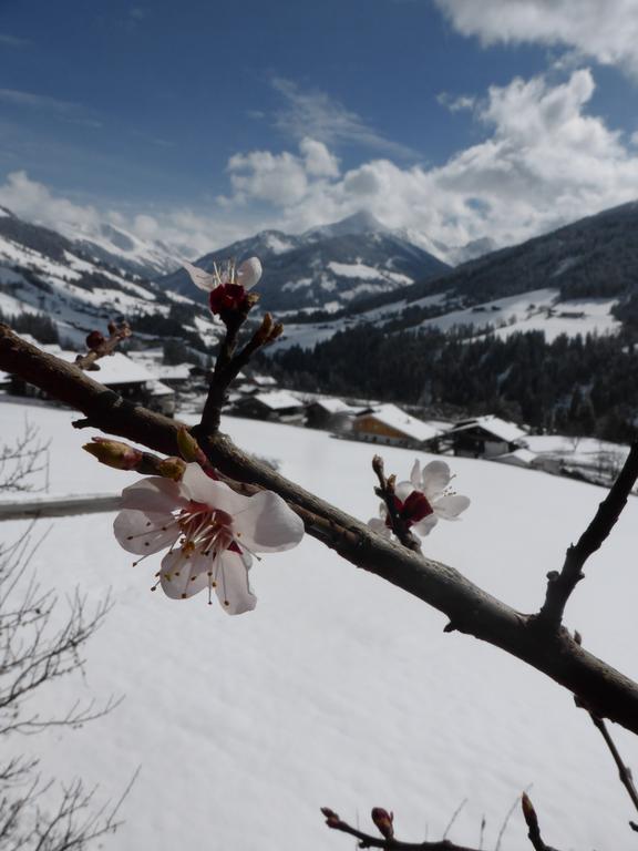 Apartmán Heachhof Alpbach Exteriér fotografie
