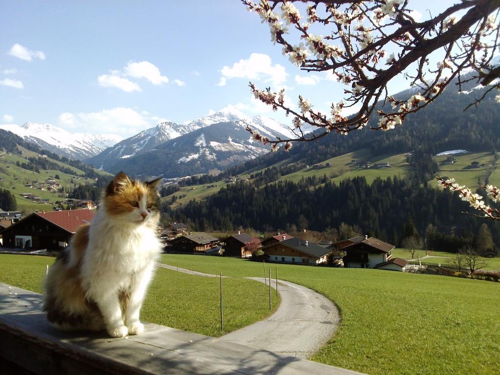 Apartmán Heachhof Alpbach Exteriér fotografie
